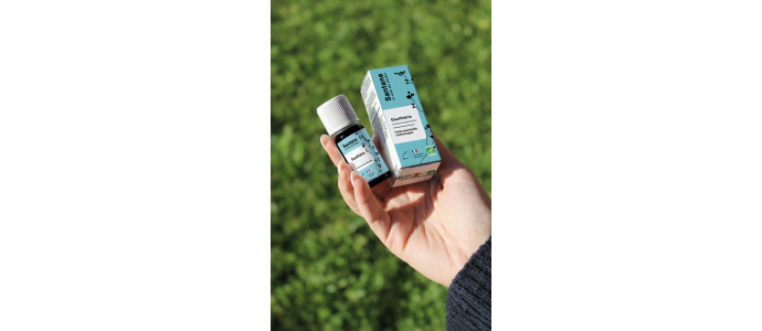 Gaulthérie : une huile essentielle au parfum intense et rafraîchissant